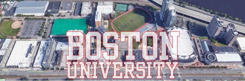 Jill Cardella banner