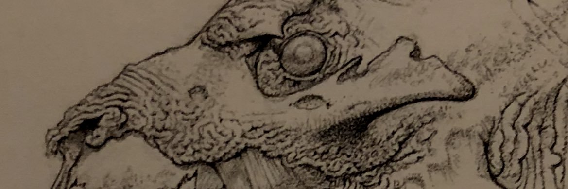 Estrella Araiza banner