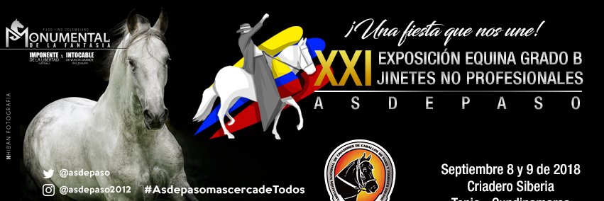 asdepaso2012's profile banner image