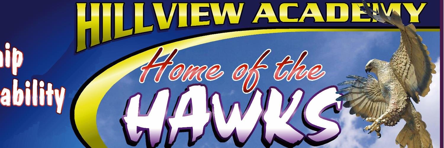 hillviewacademy's profile banner image