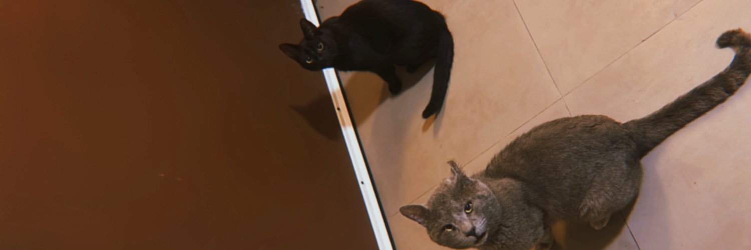 Sebaaesp's profile banner image