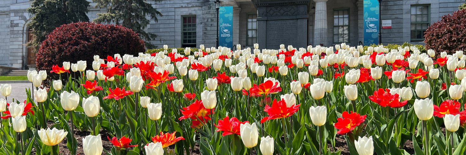 Université McGill Profile Banner