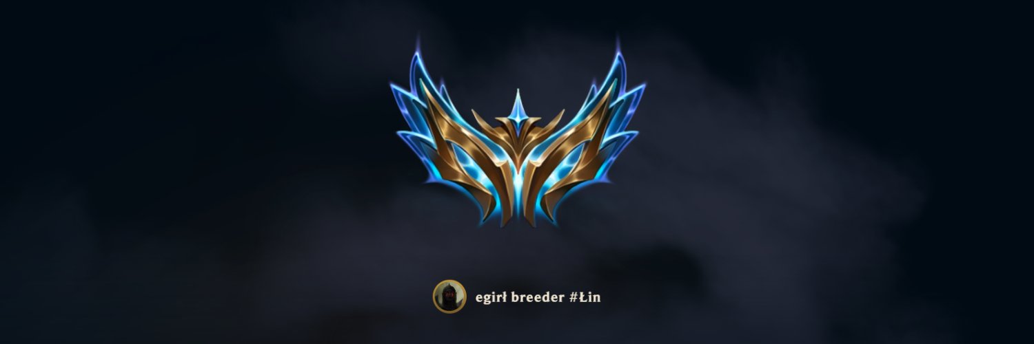 Łin banner