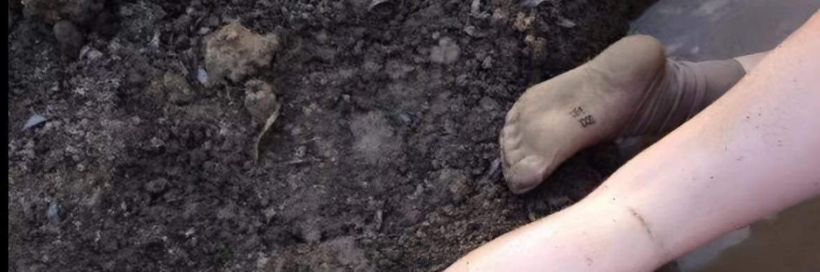 sasha banner