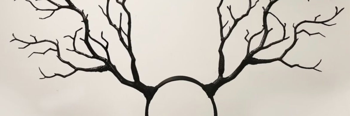 Aspen banner