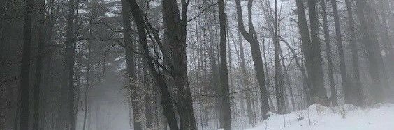 Viking Frida 😈 banner