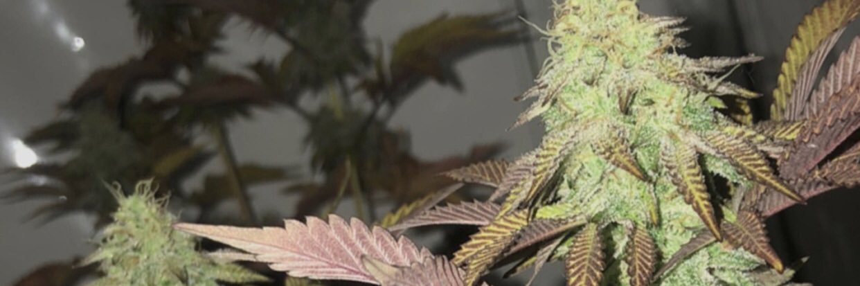2425Martin's profile banner image