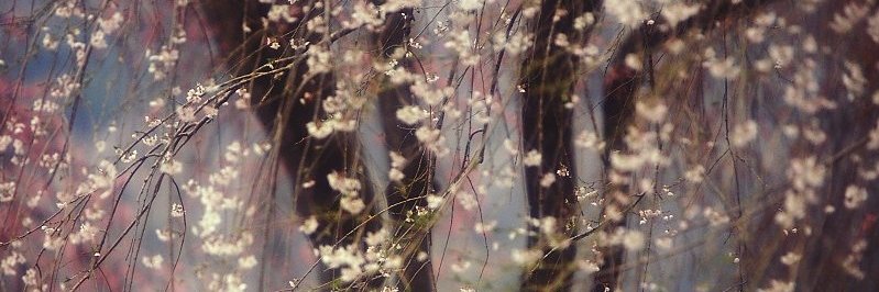 Boongui95's profile banner image