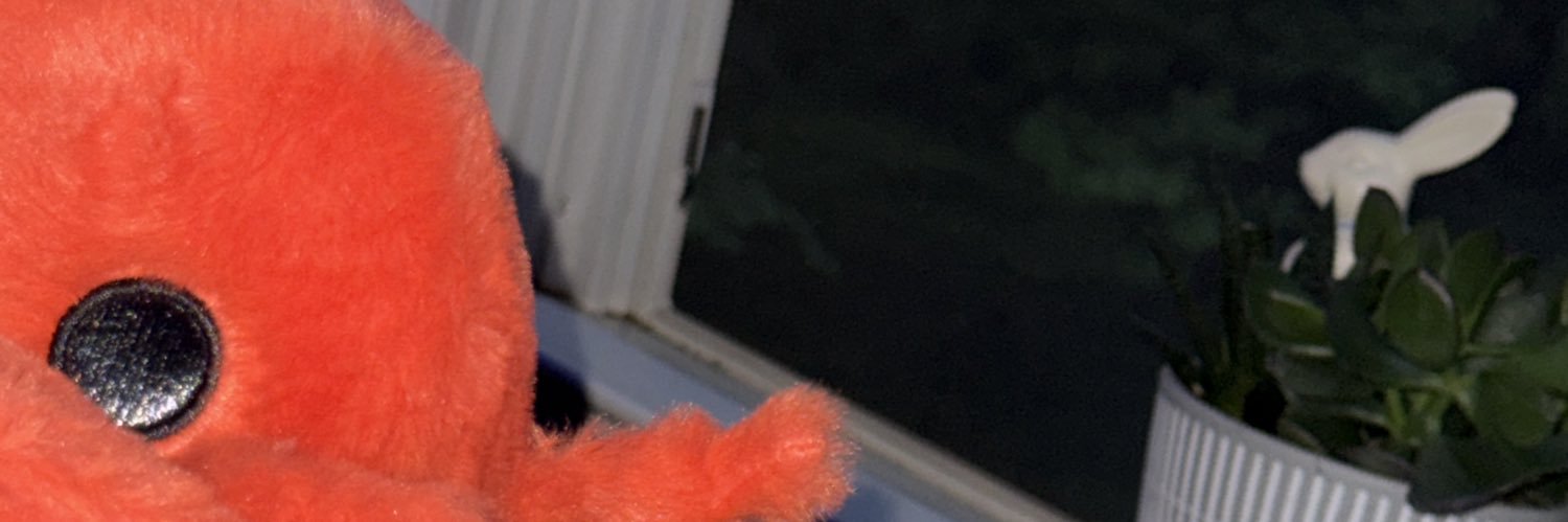 snoopingus's profile banner image