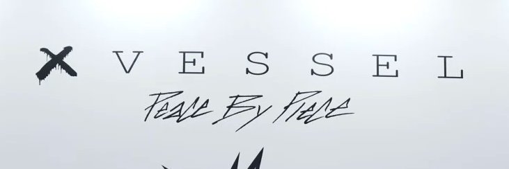 xVESSELonX's profile banner image