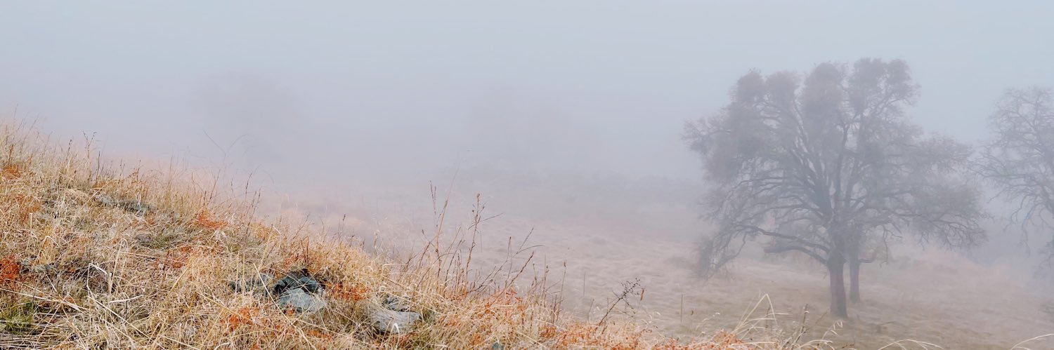 jeranfox's profile banner image