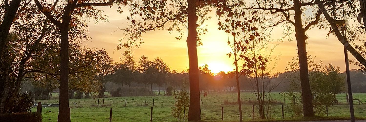 Anja de Greef banner