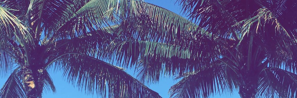 LKledzik's profile banner image