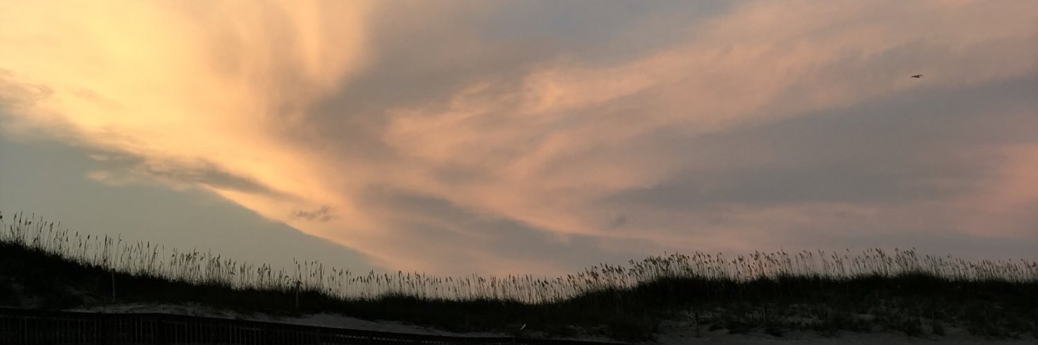 skyelarschmidt's profile banner image