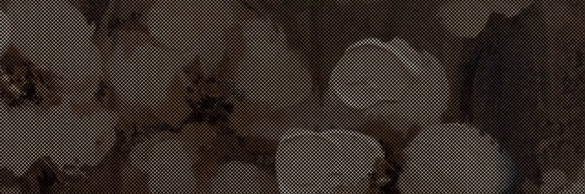 J. V.'s banner
