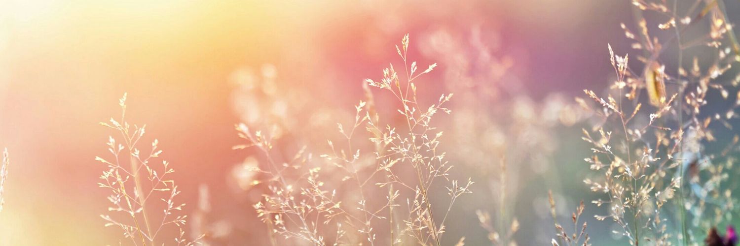 MayraBnk's profile banner image