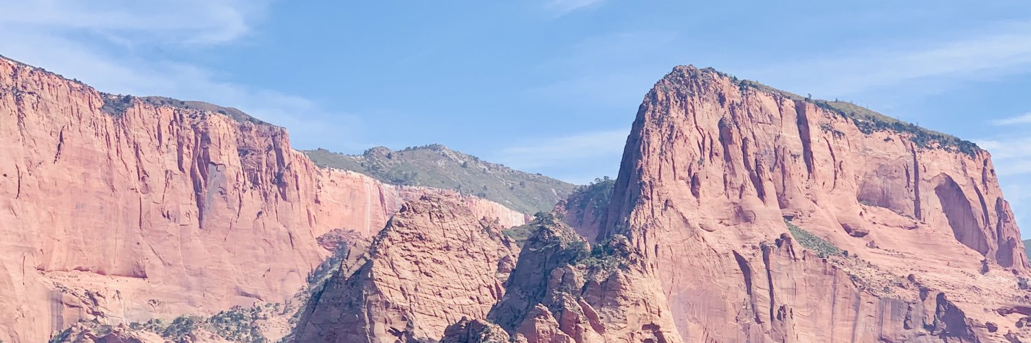 R_ZMax's profile banner image