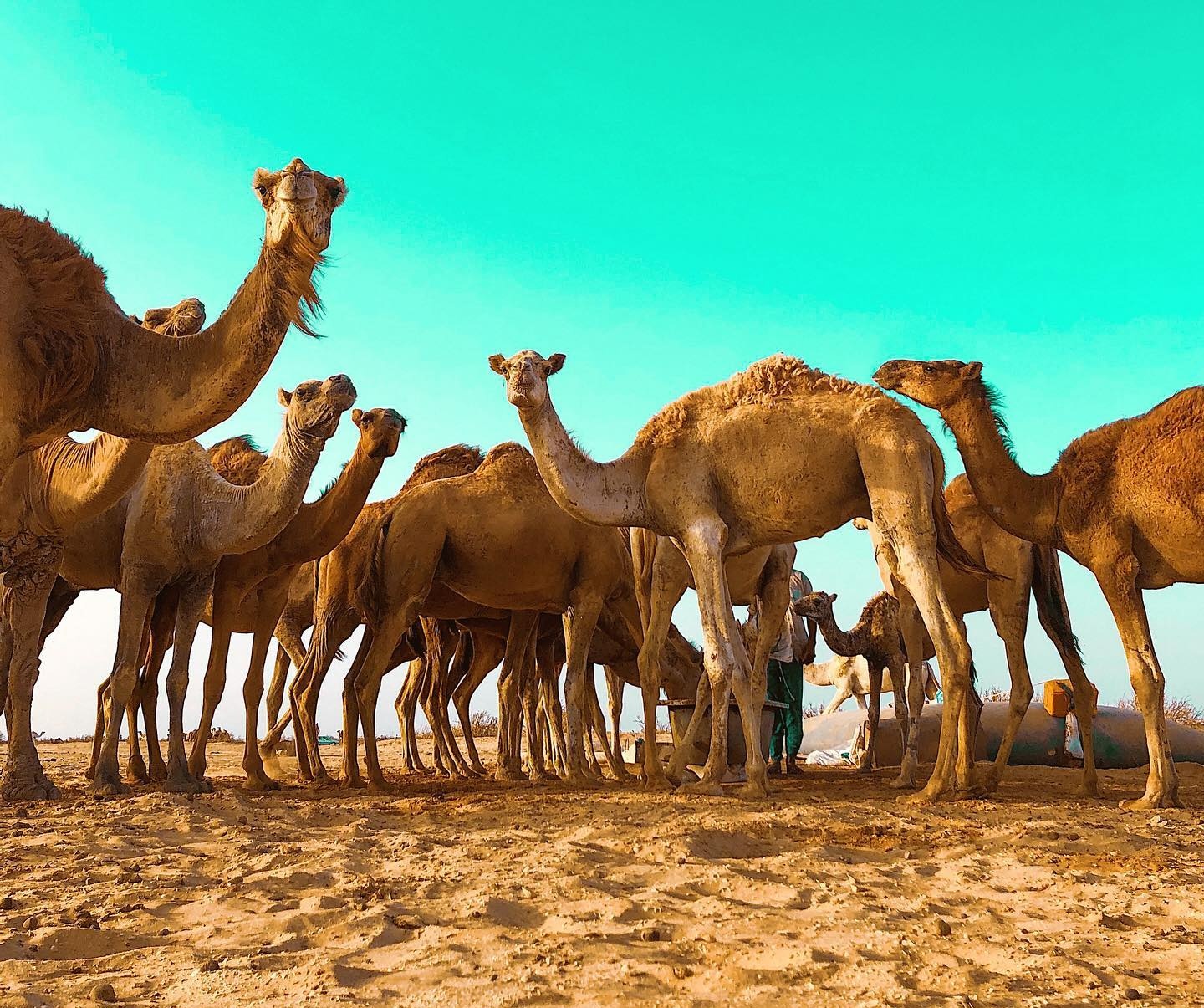 Noor Abdirashid 🇰🇪 banner