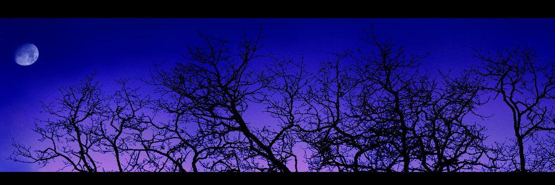 jacksonscott327's profile banner image