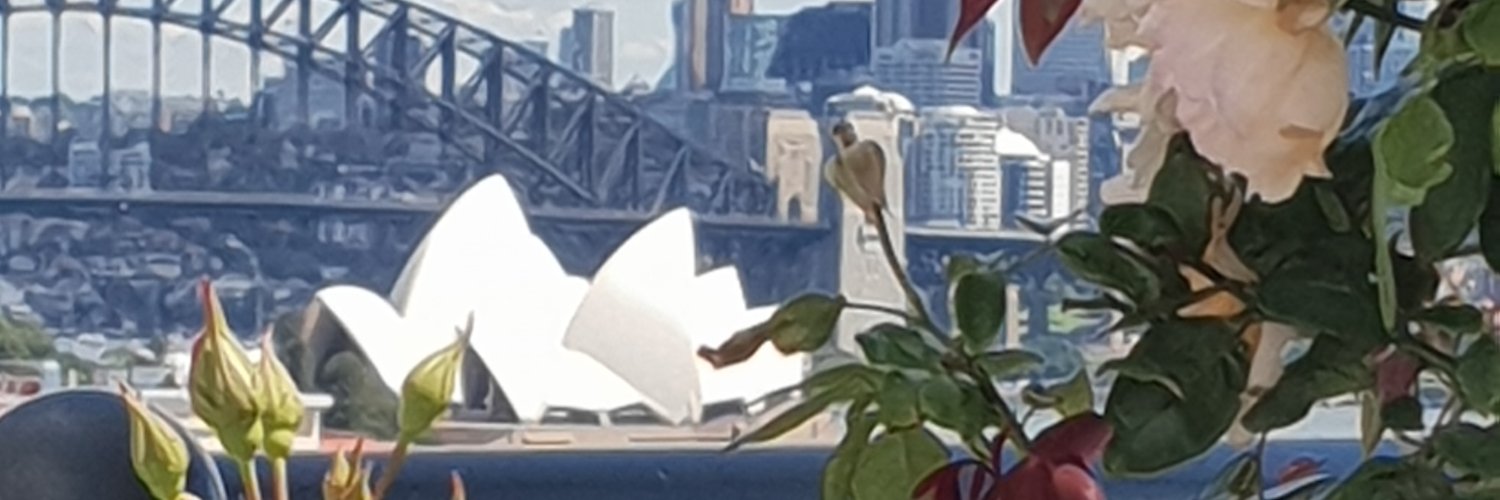 Rebecca Varidel banner