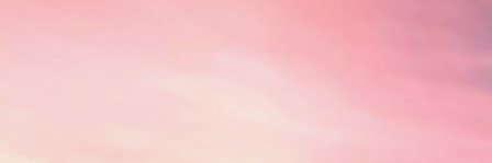 🩷 banner