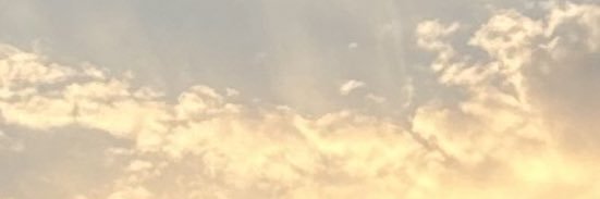 雨傘's banner