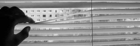 selasajuni's profile banner image