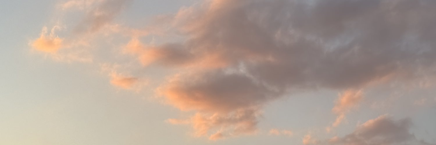 夜椿. banner