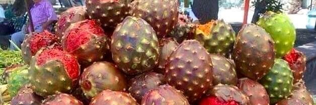 eltuquequepf's profile banner image