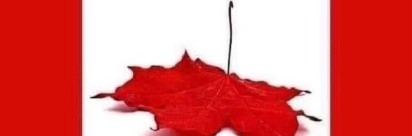ejc922's profile banner image