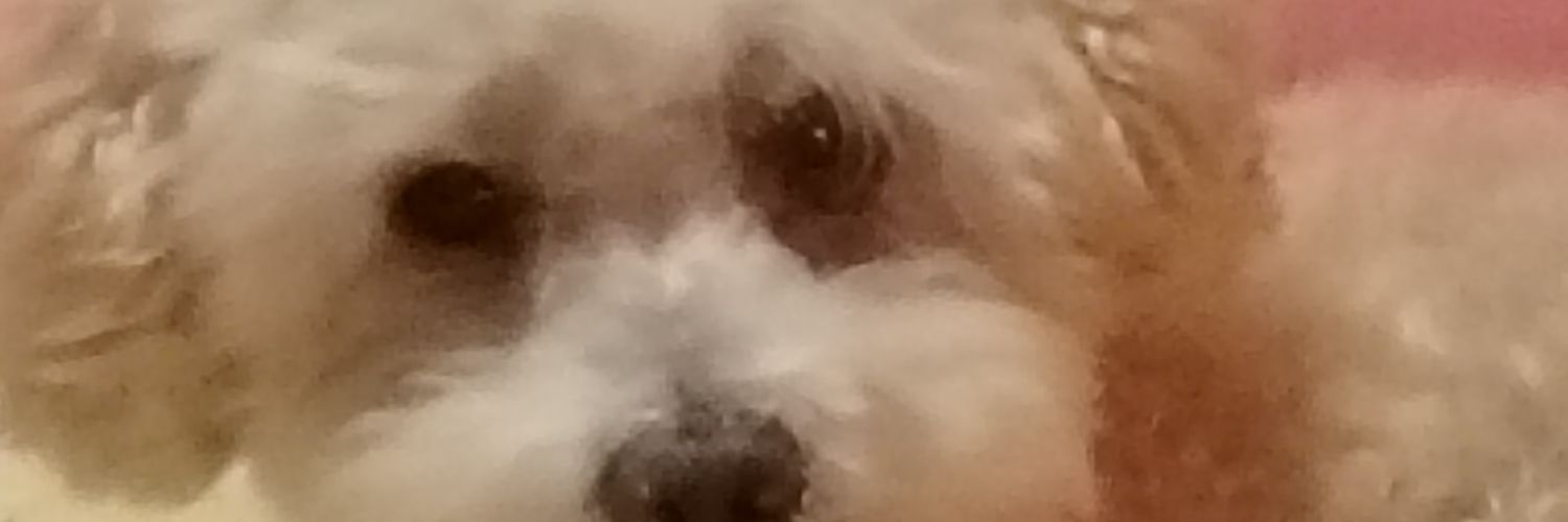 AlexPausen's profile banner image
