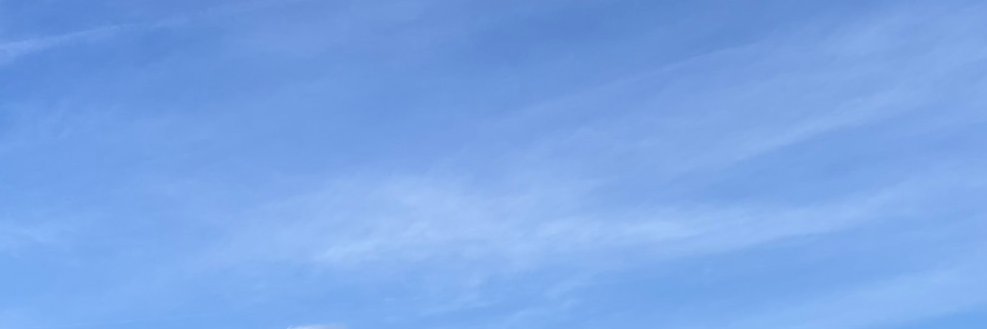 ぱんぷきん banner