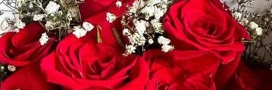 ‍ ‍ ℒ𝐮𝐜𝐢𝐥𝐥𝐞. 𝜗𝜚 banner