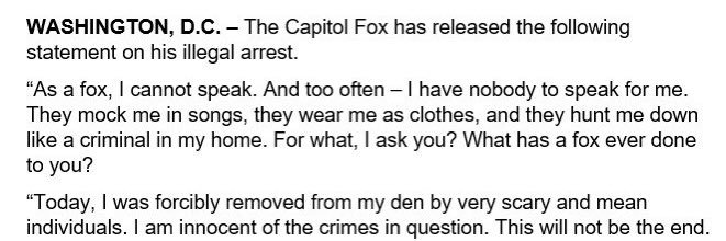 Madeline Fox 🦊 banner