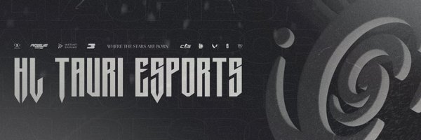 HLTesports Profile Banner