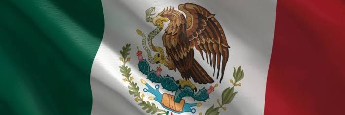 Mayela Alemán banner