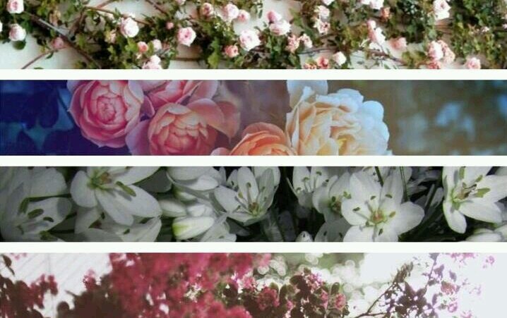 PauDeLara's profile banner image
