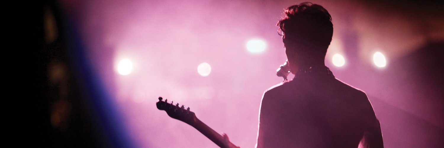 Prince Party UK banner