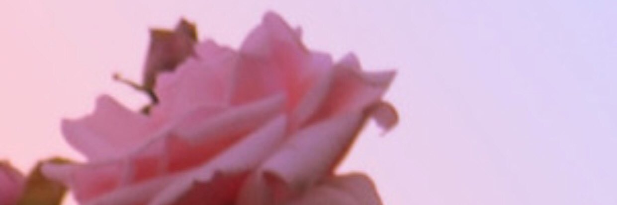 ceebabylady's profile banner image
