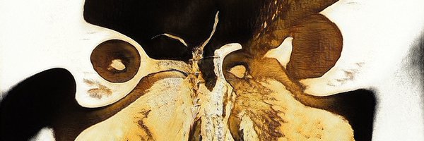 _destevez_ Profile Banner