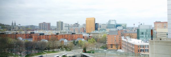 NUPoliSci Profile Banner