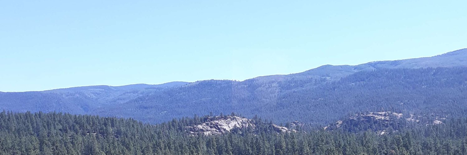 Eggo_Sightseer banner