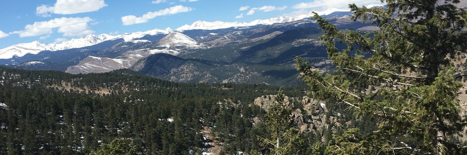 AveryRiddoch3's profile banner image