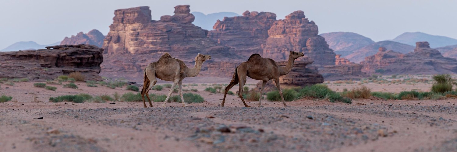 ArabsFirst18's profile banner image