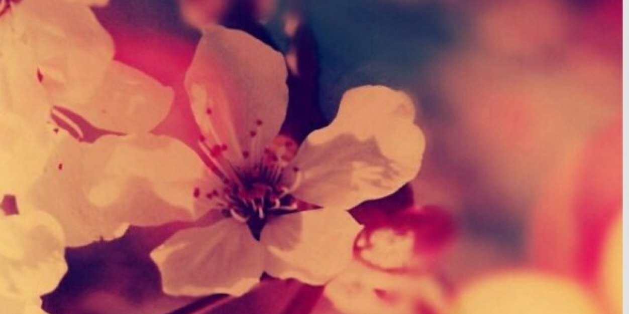 AdrienneHenze's profile banner image