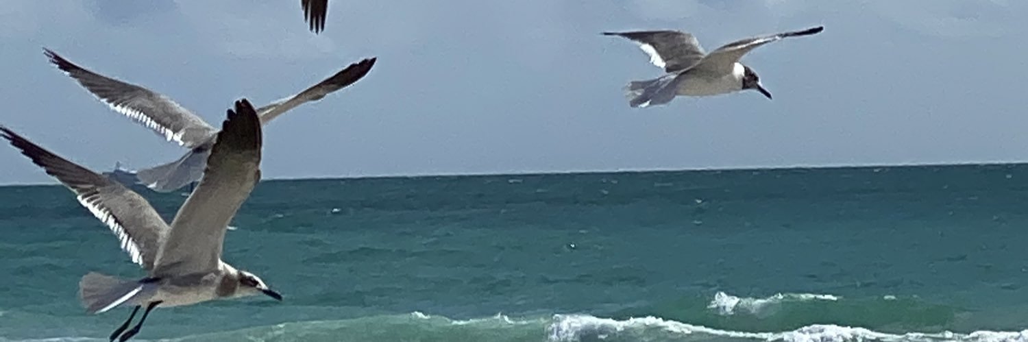 Adam_Ackerman's profile banner image
