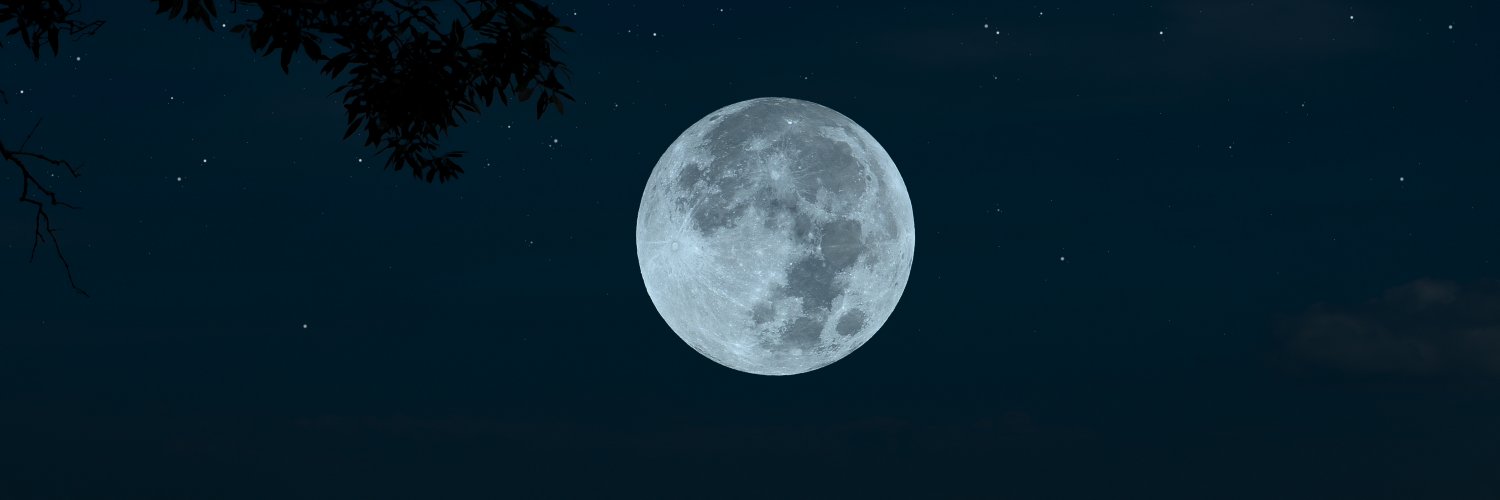 erika1h's profile banner image