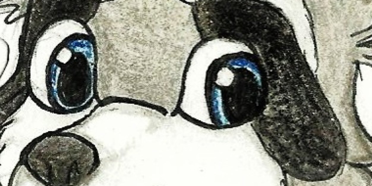 MesurFlow's profile banner image