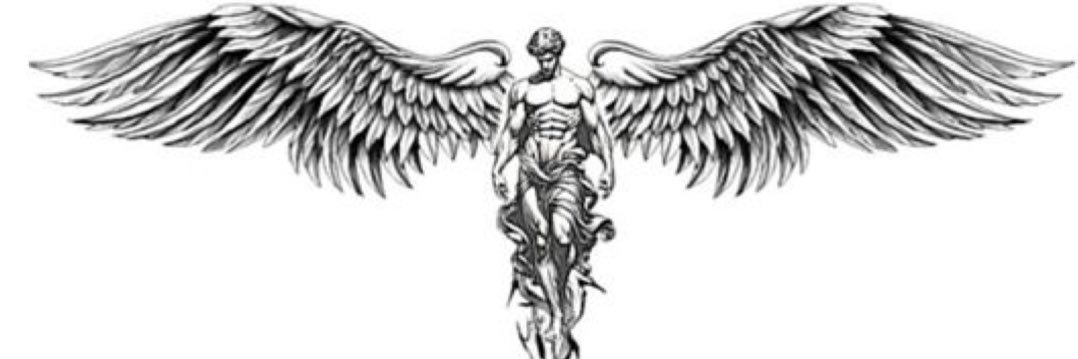 Carlos Adame Jr. banner