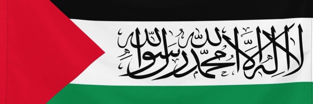 FGC8810🇵🇸 banner